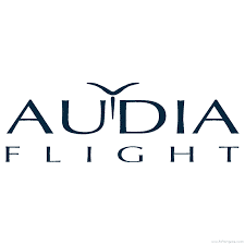 audia-flight-home-acoustique-amplificateur-préampli-lecteur-cd-fls-20-strumento-fls1-fl3s