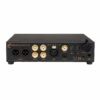 Ferrum Wandla GoldenSound Edition – Image 3