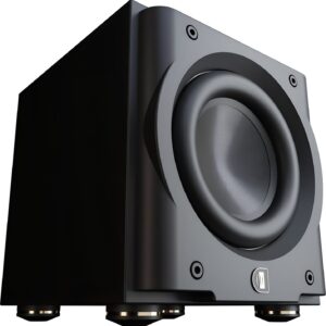 Caisson de basses Perlisten R8s